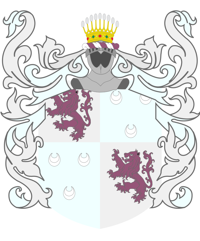 Shield image