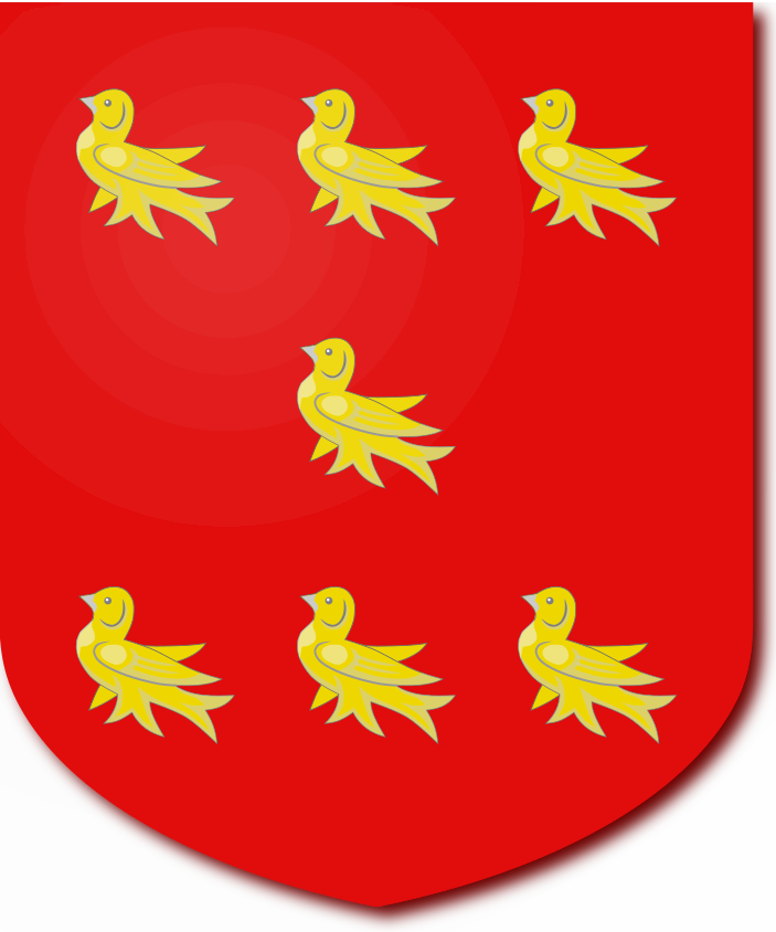 Shield image