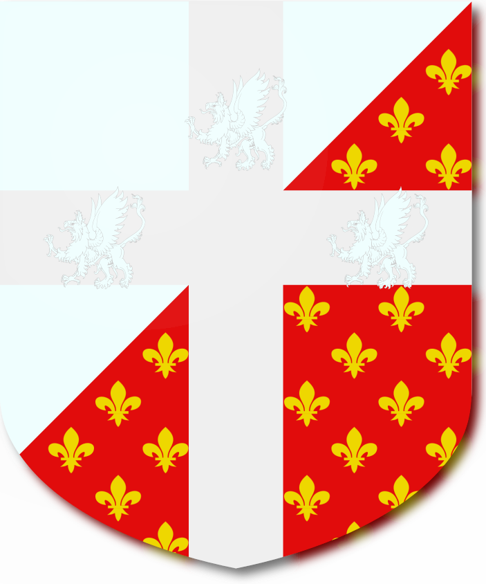 Shield image