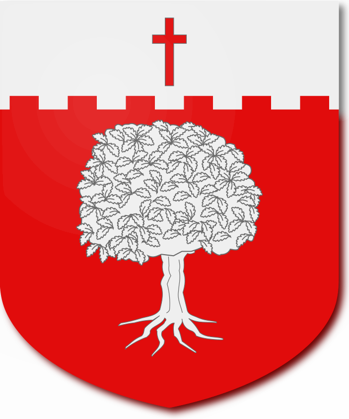 Shield image