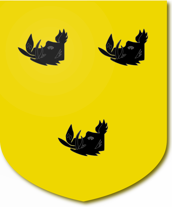 Shield image