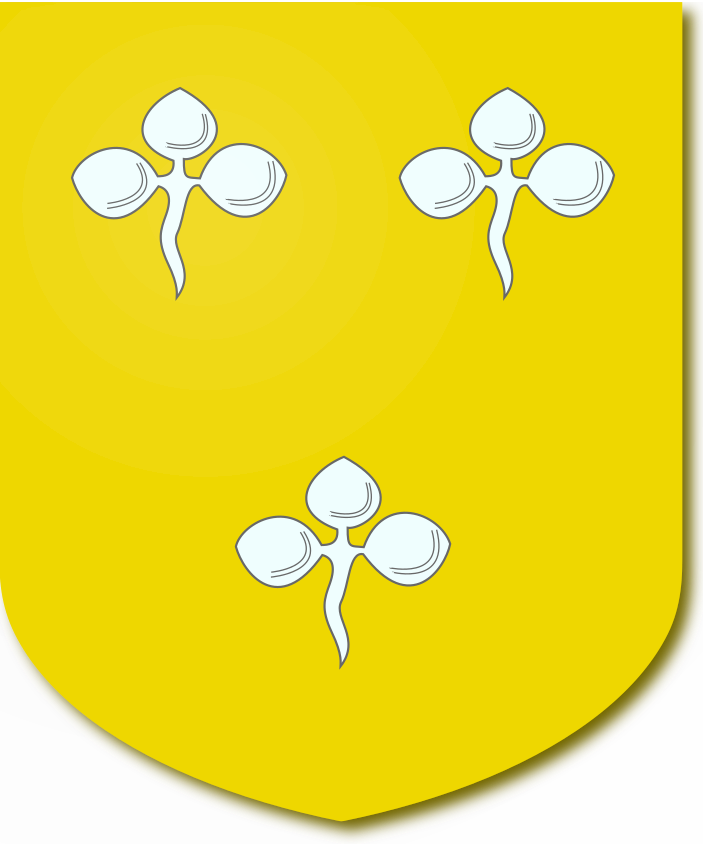 Shield image