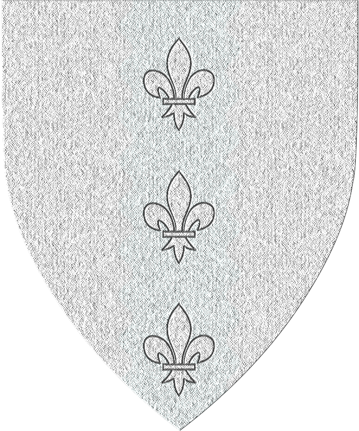 Shield image