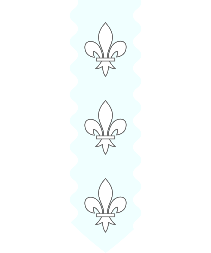 Shield image