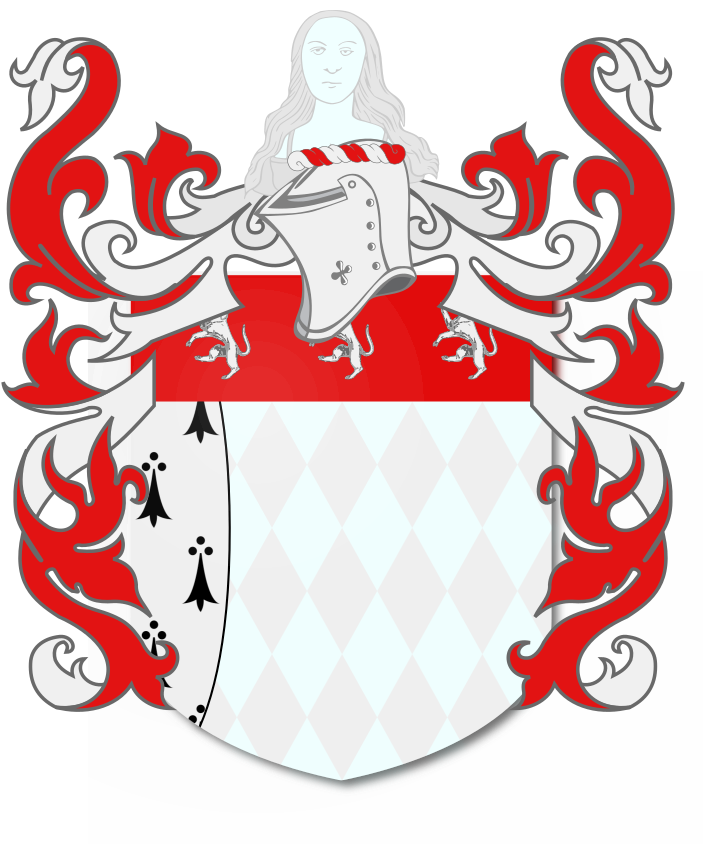 Shield image