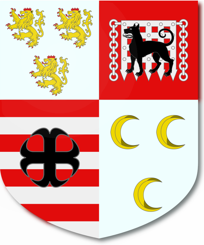 Shield image