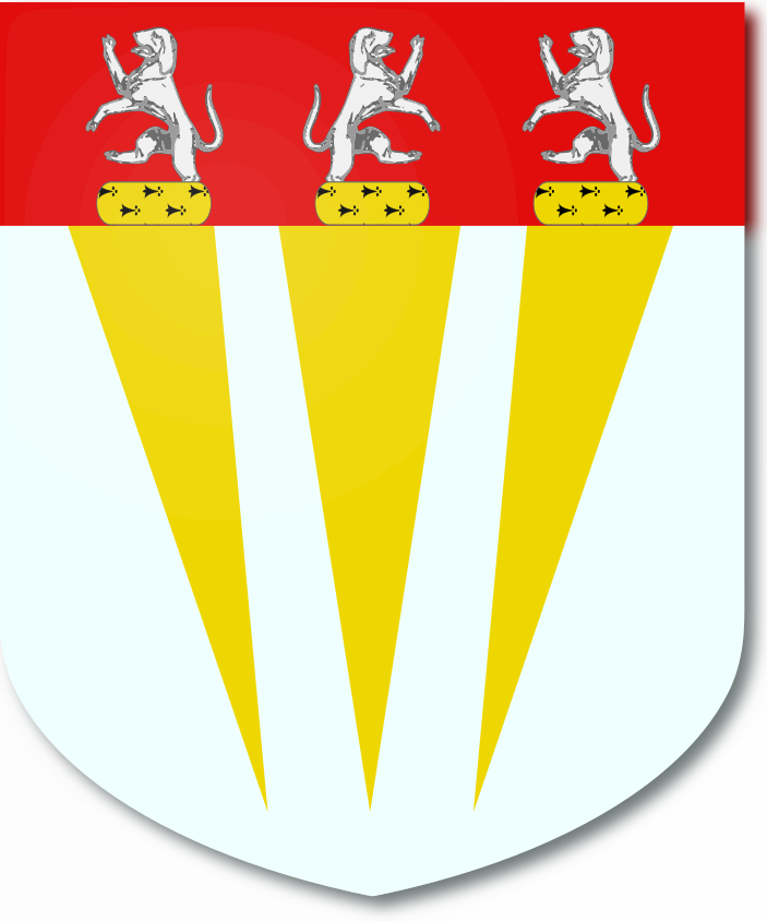 Shield image