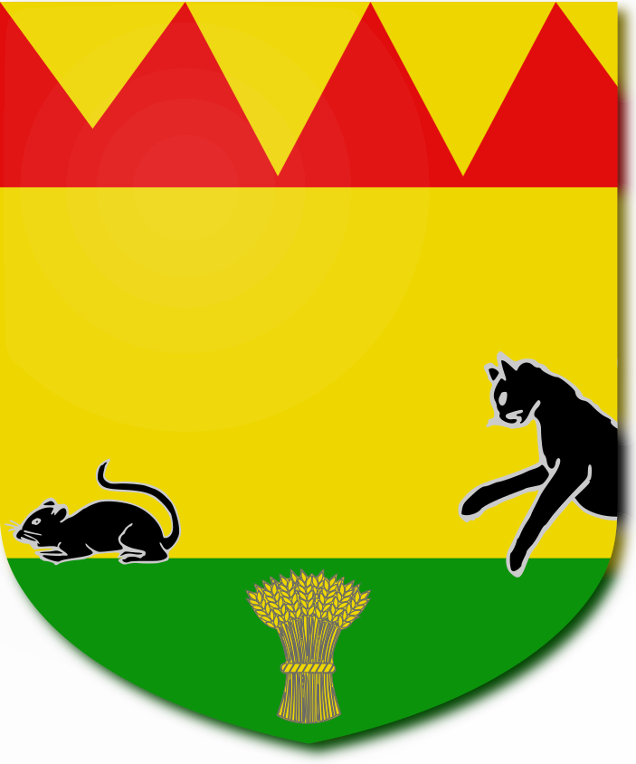 Shield image