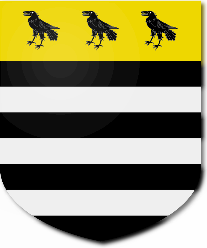 Shield image