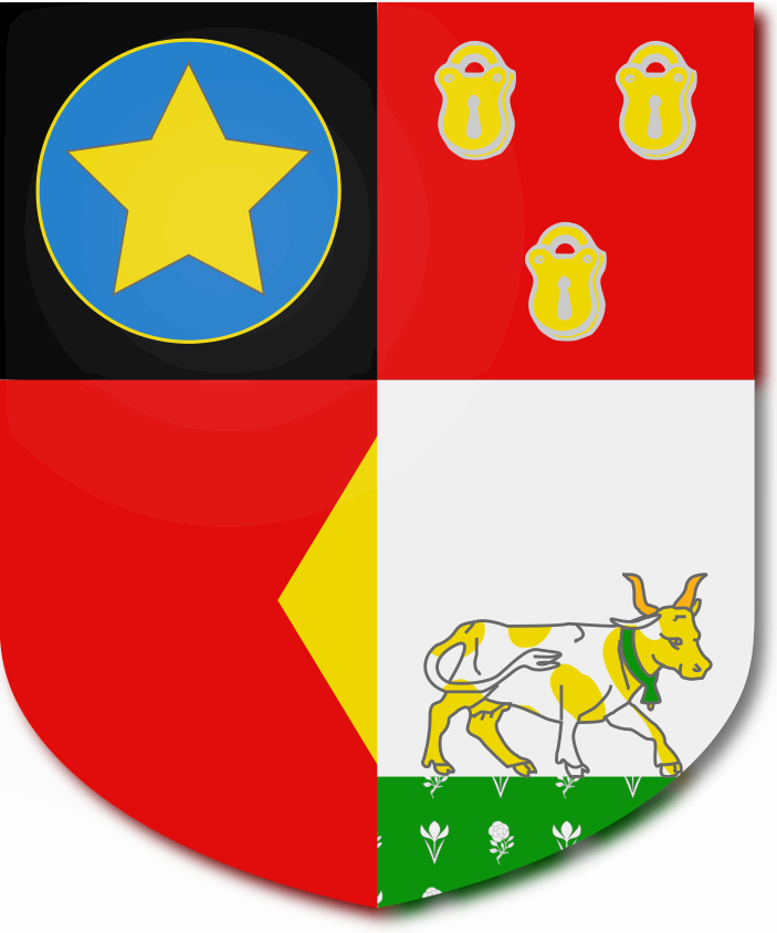 Shield image