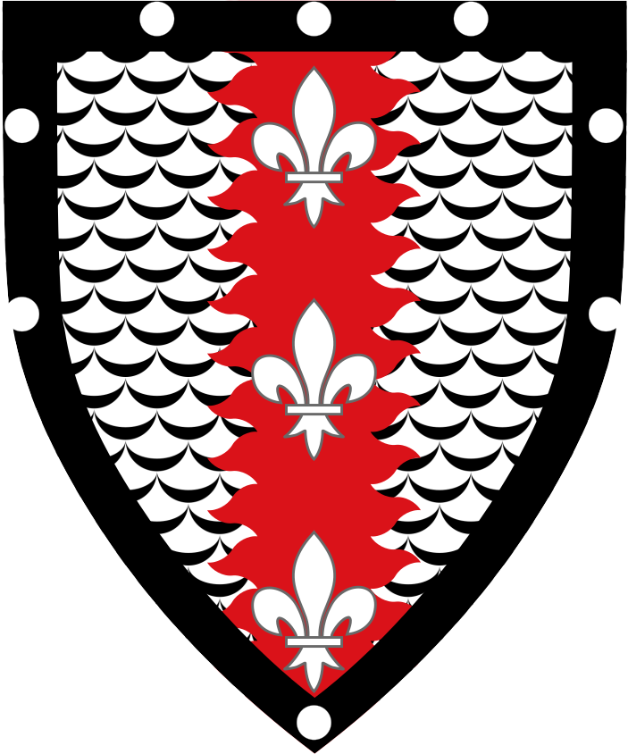 Shield image