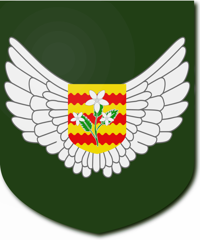 Shield image