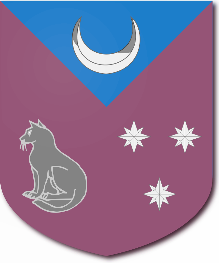 Shield image