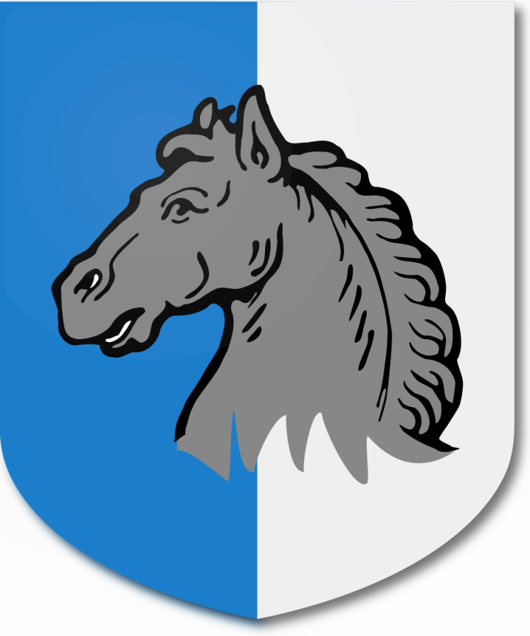 Shield image