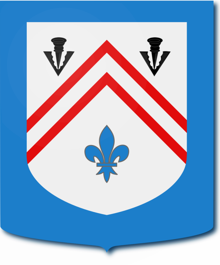 Shield image