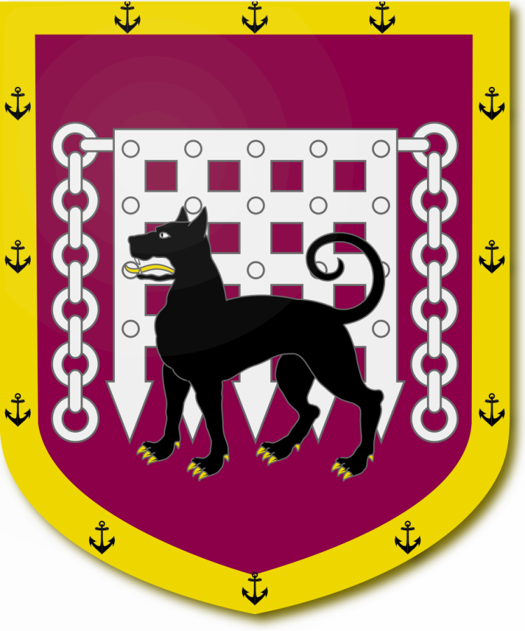 Shield image