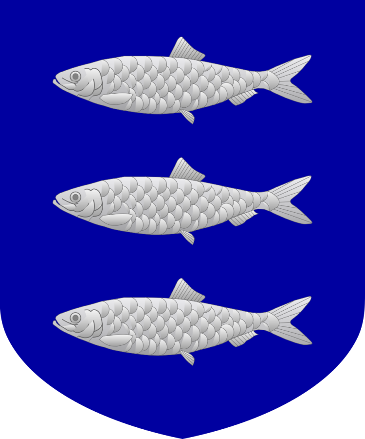 Shield image