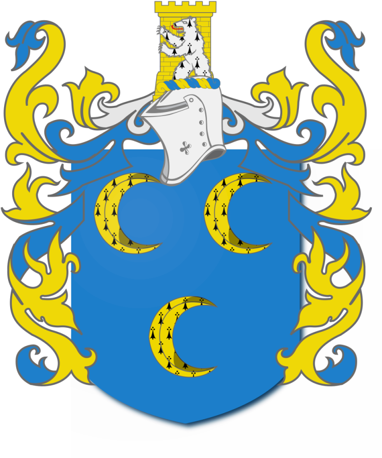 Shield image