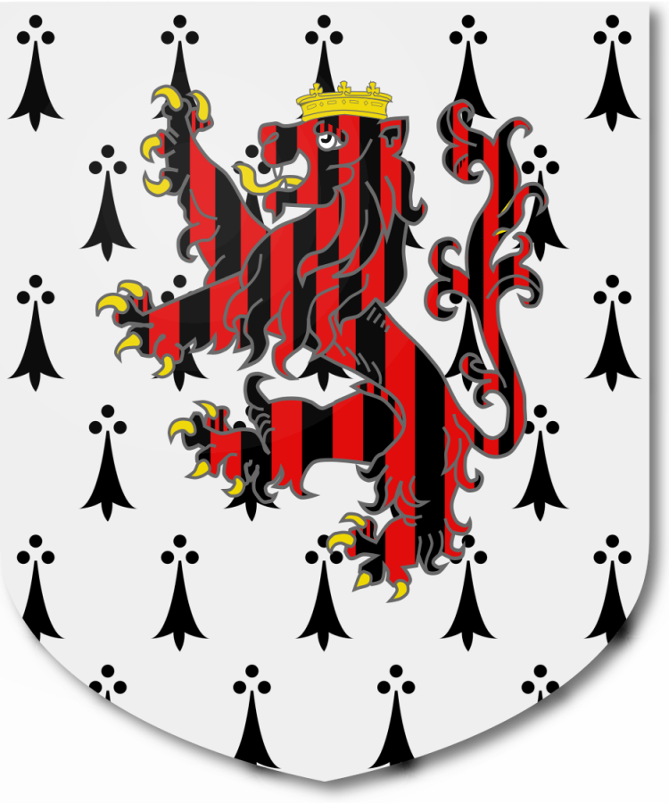 Shield image