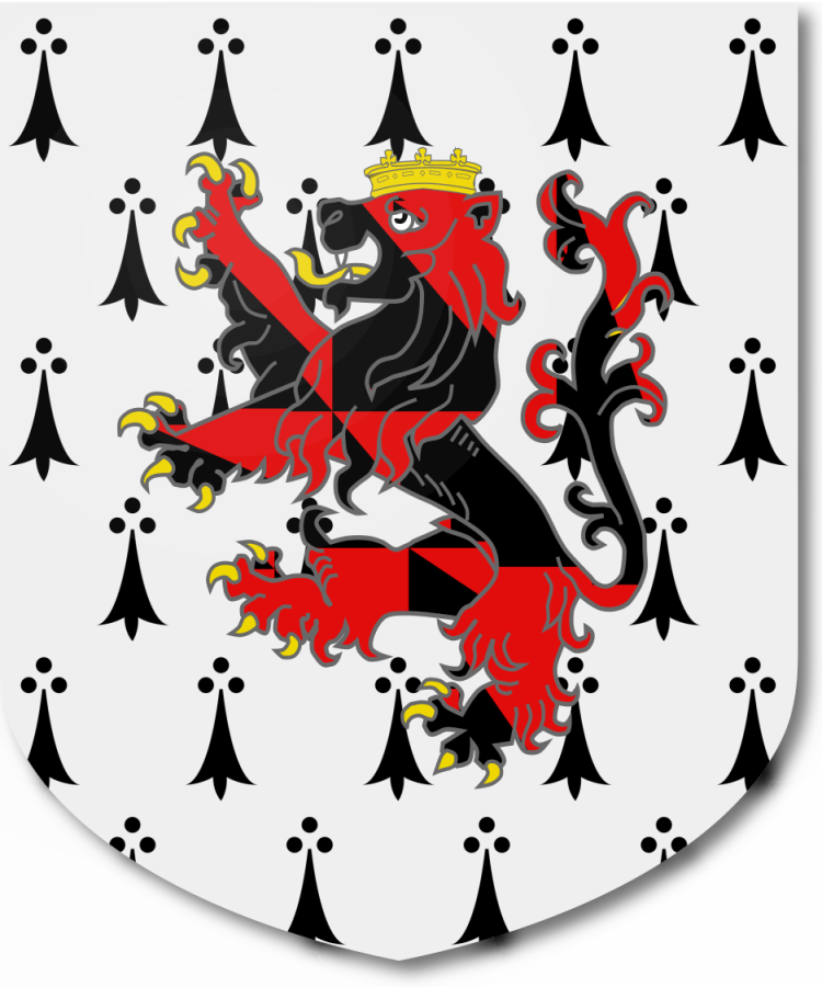 Shield image