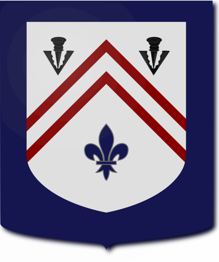 Shield image