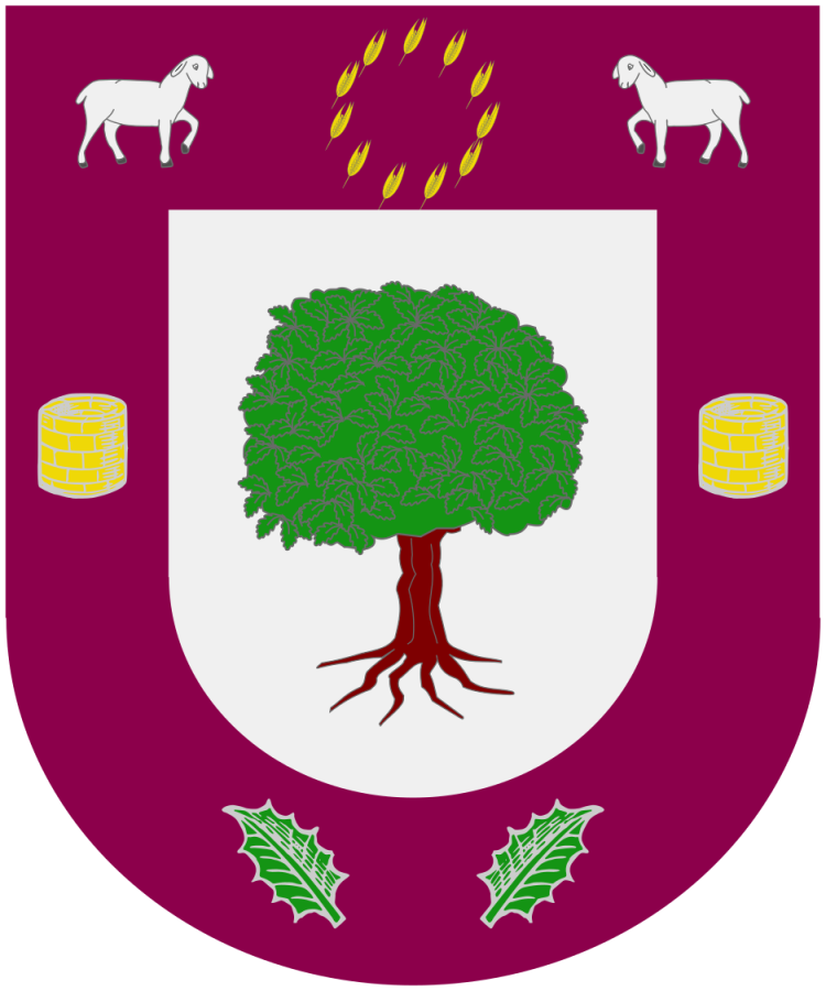 Shield image