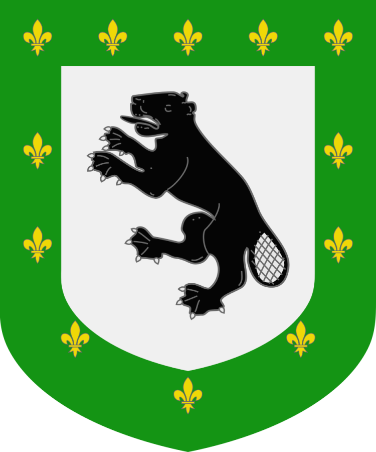 Shield image