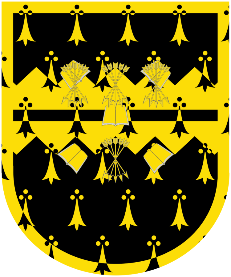 Shield image