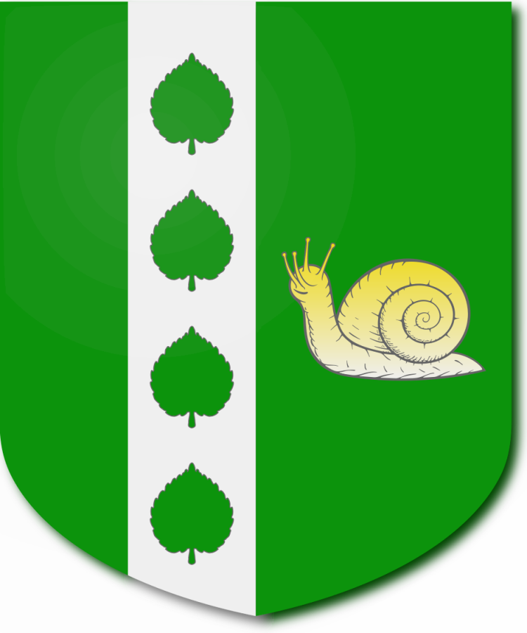 Shield image