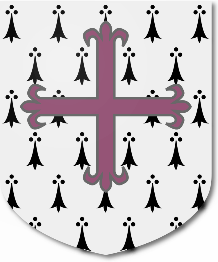 Shield image