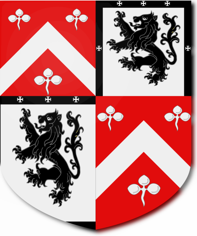 Shield image