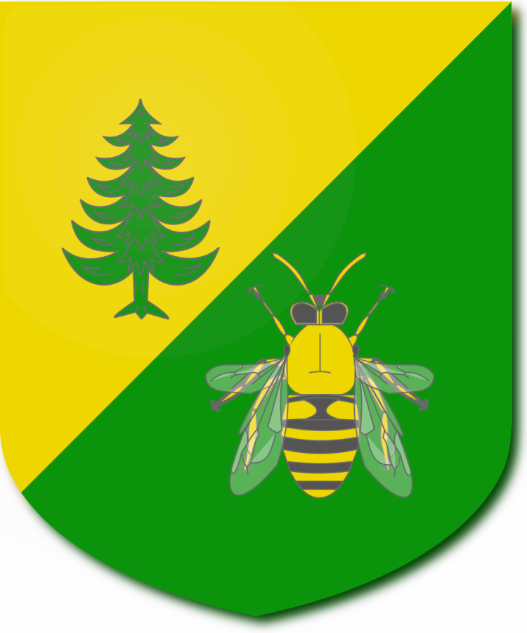 Shield image