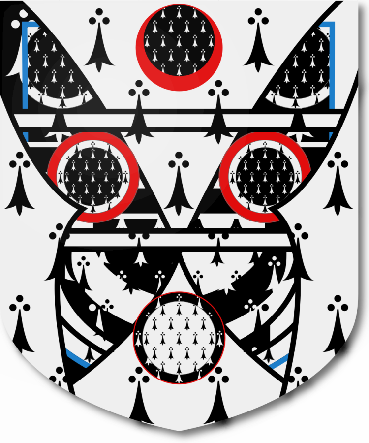 Shield image