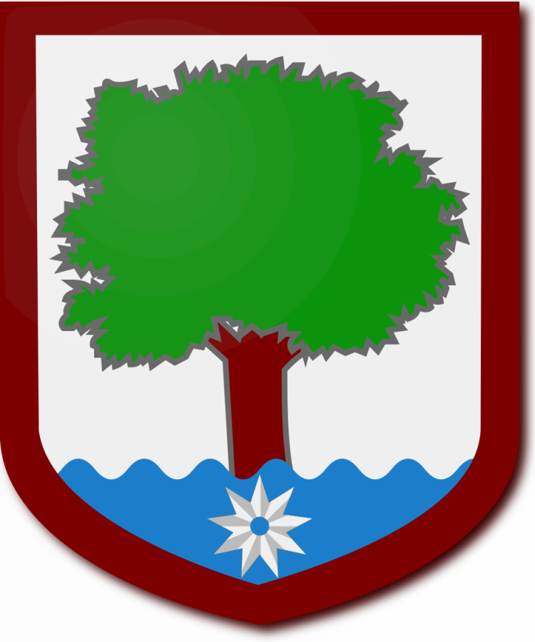 Shield image