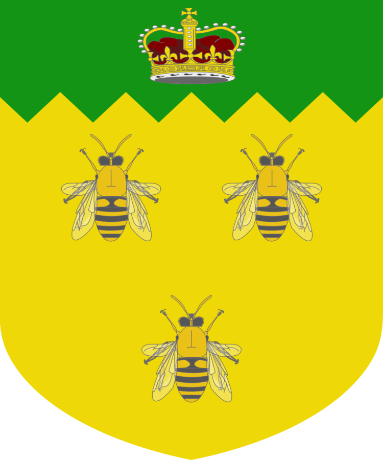 Shield image