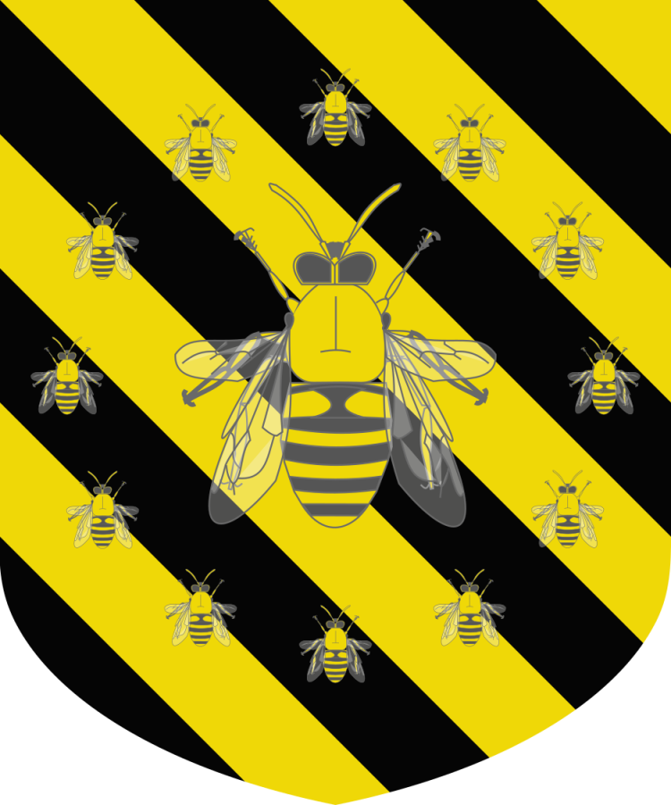 Shield image