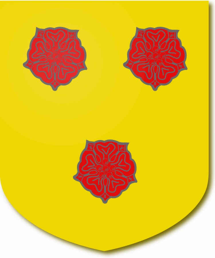 Shield image