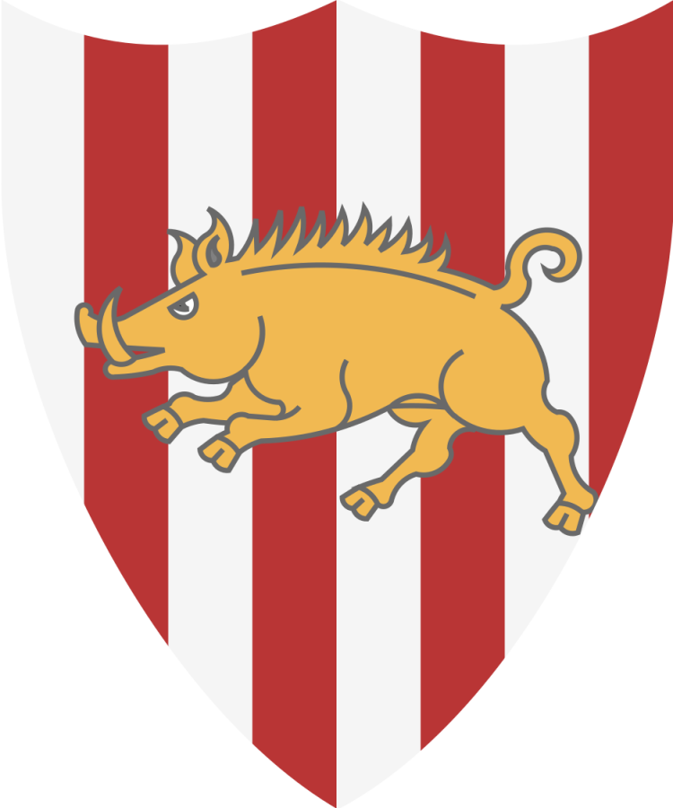 Shield image