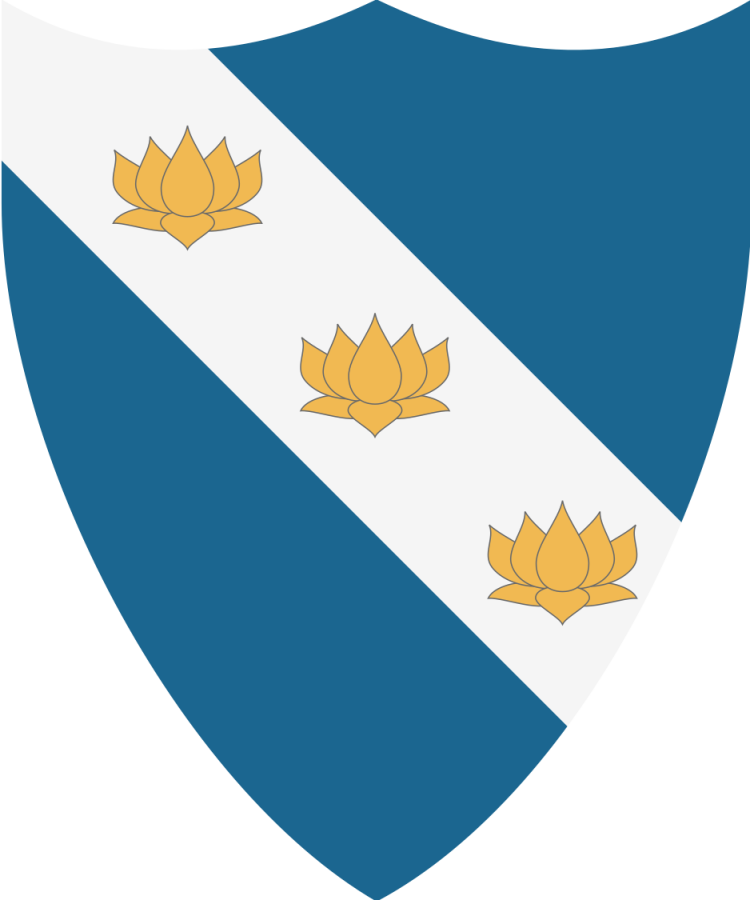 Shield image