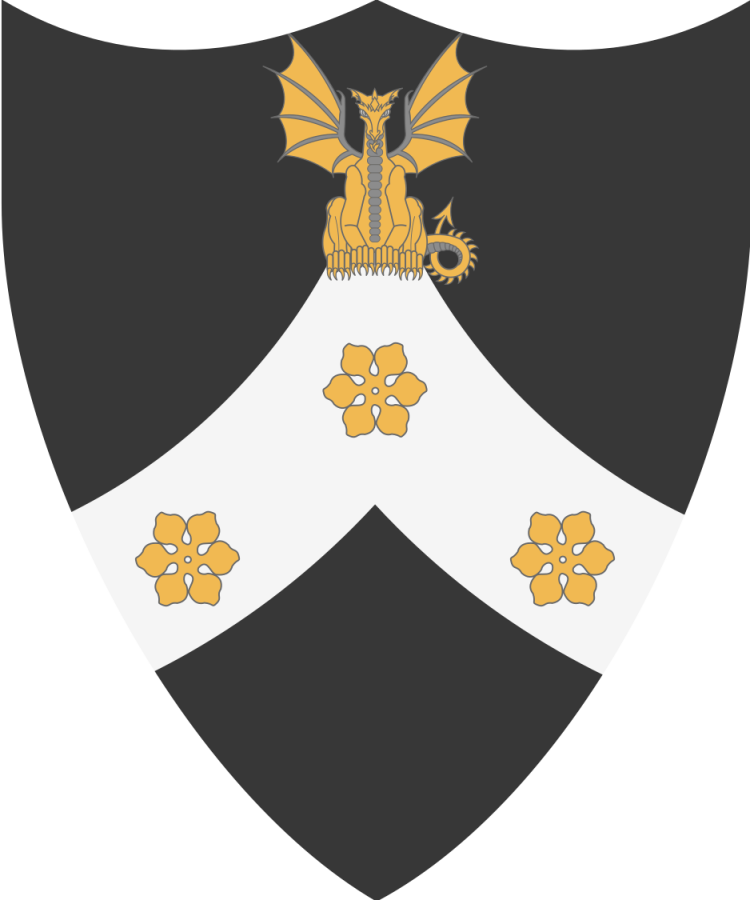 Shield image