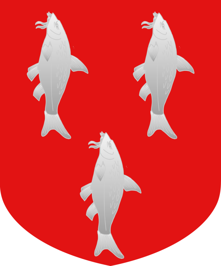 Shield image