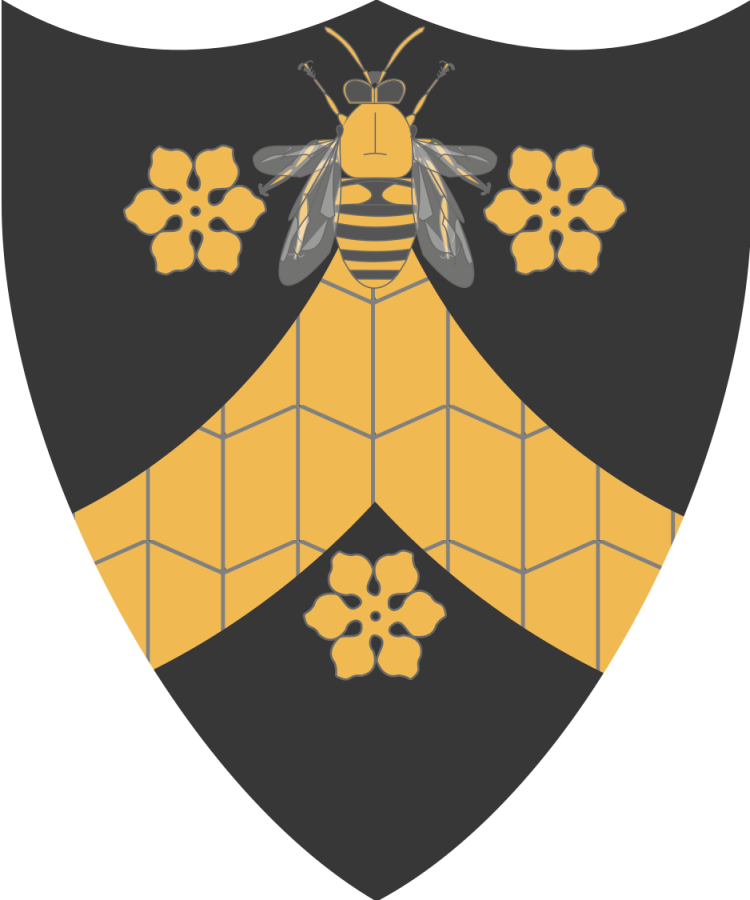 Shield image