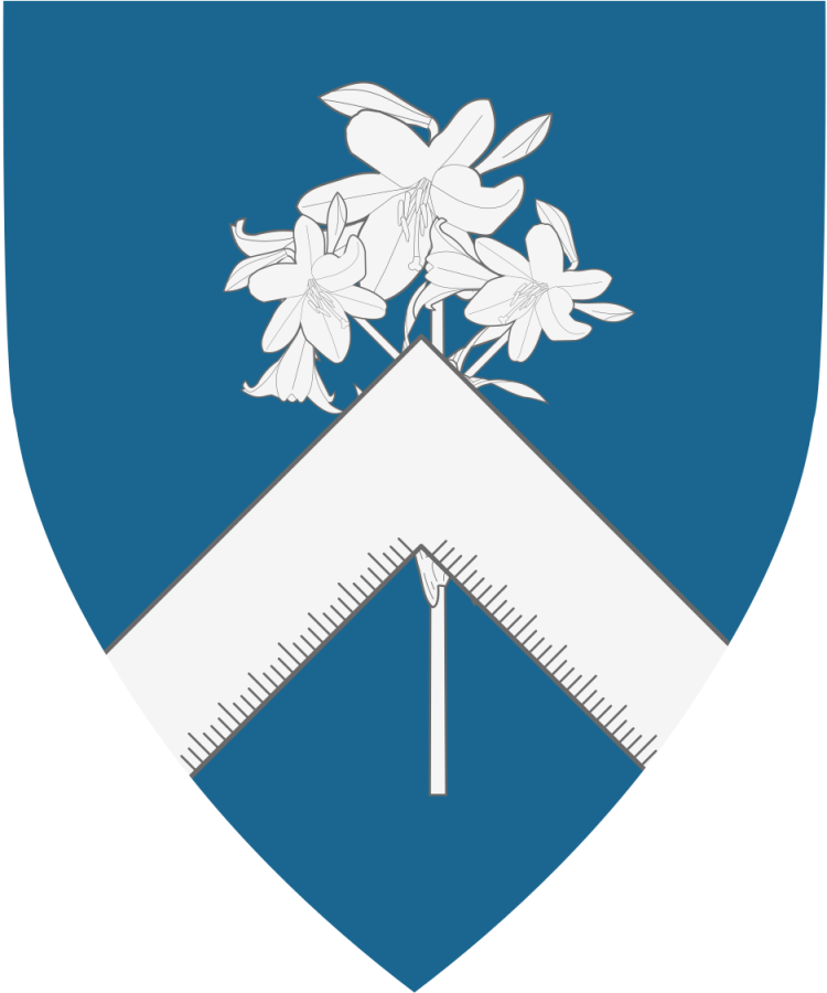 Shield image