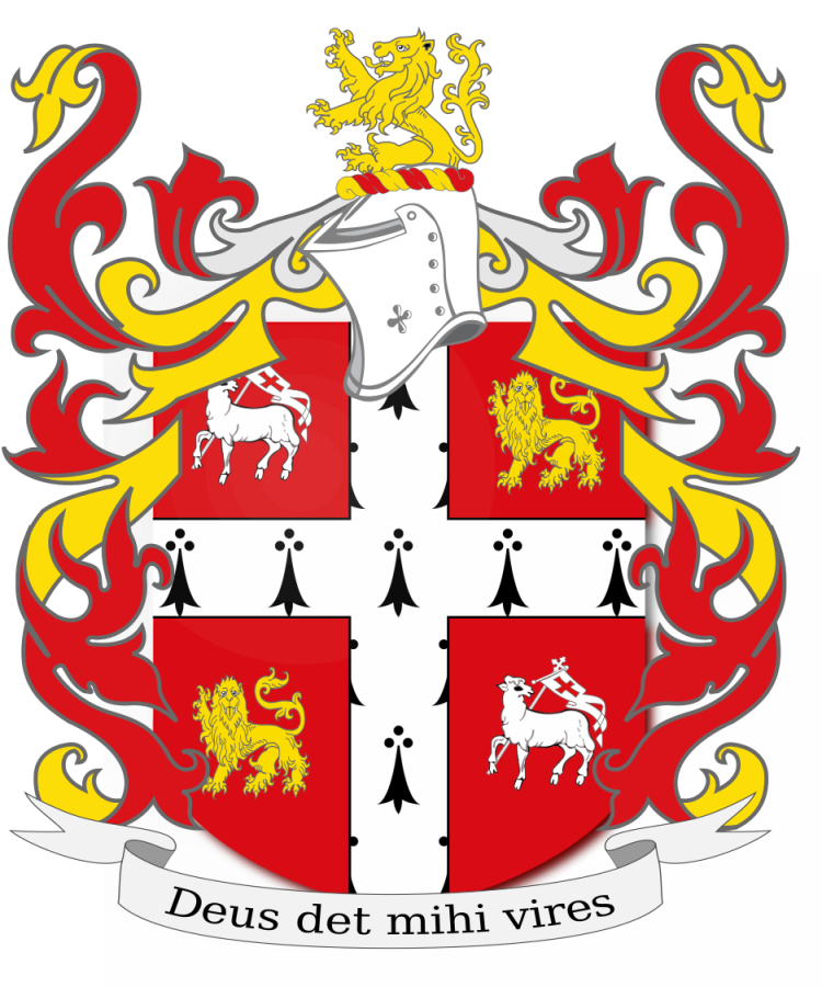 Shield image