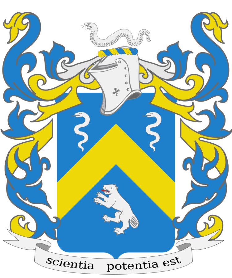 Shield image