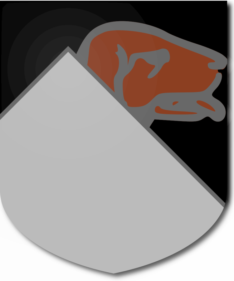 Shield image