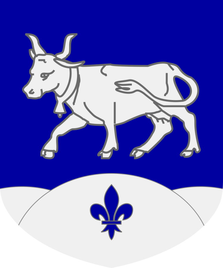 Shield image