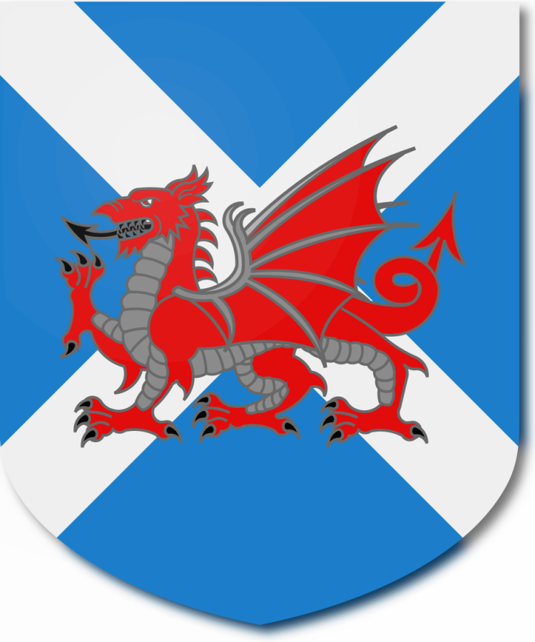 Shield image