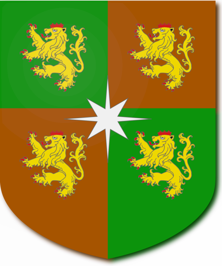 Shield image