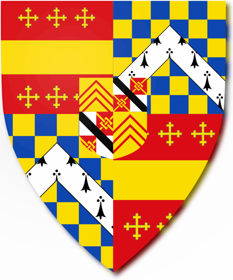 Shield image